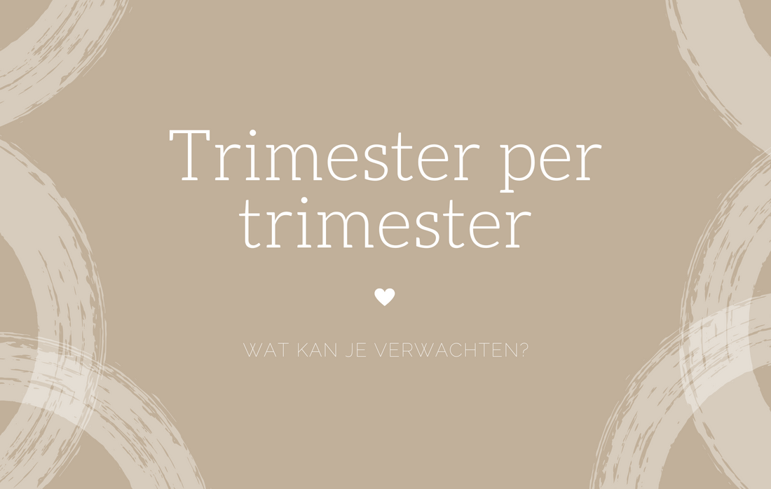 Trimester per trimester: wat kun je verwachten? 