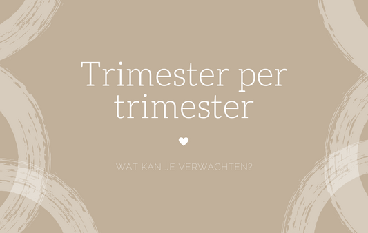 Trimester per trimester: wat kun je verwachten?&nbsp;